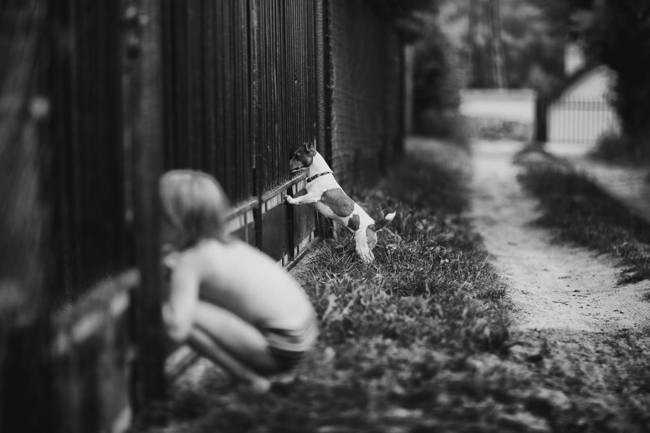 Izabela Urbaniak - Photographer - 0121