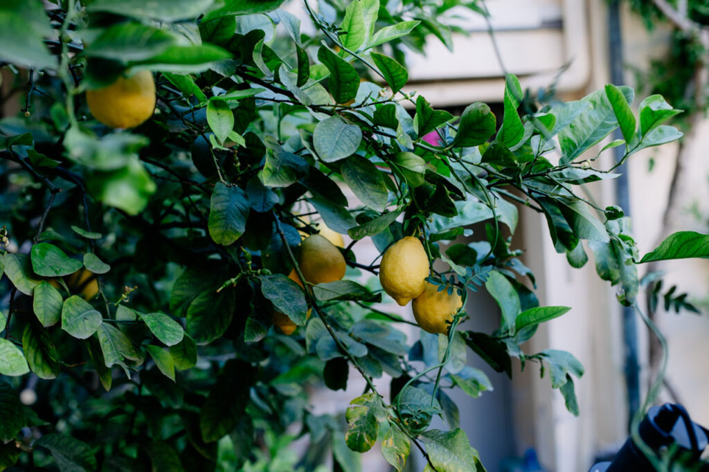 Izabela Urbaniak - Photographer - BLOG - Sycylia - dolce far niente - 0004